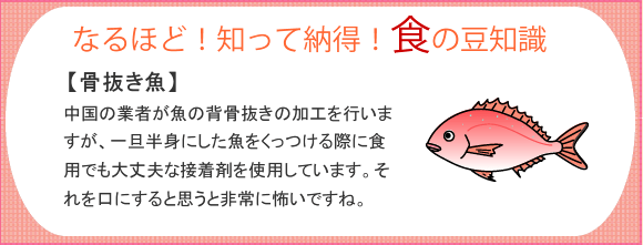 春日井・日東給食食のコラム